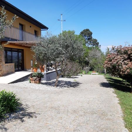 Quinta Do Senhor Βίλα Μπράγκα Εξωτερικό φωτογραφία