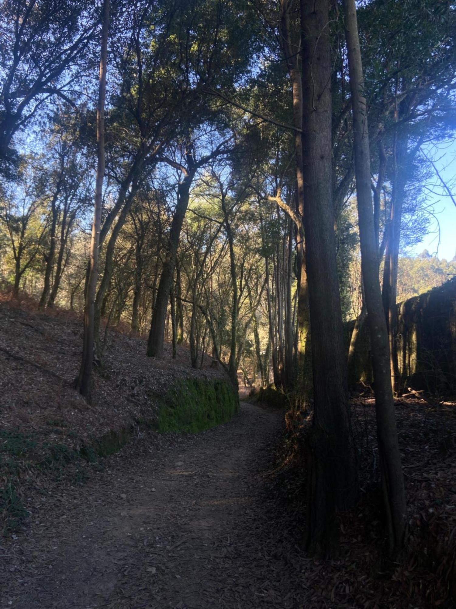 Quinta Do Senhor Βίλα Μπράγκα Εξωτερικό φωτογραφία