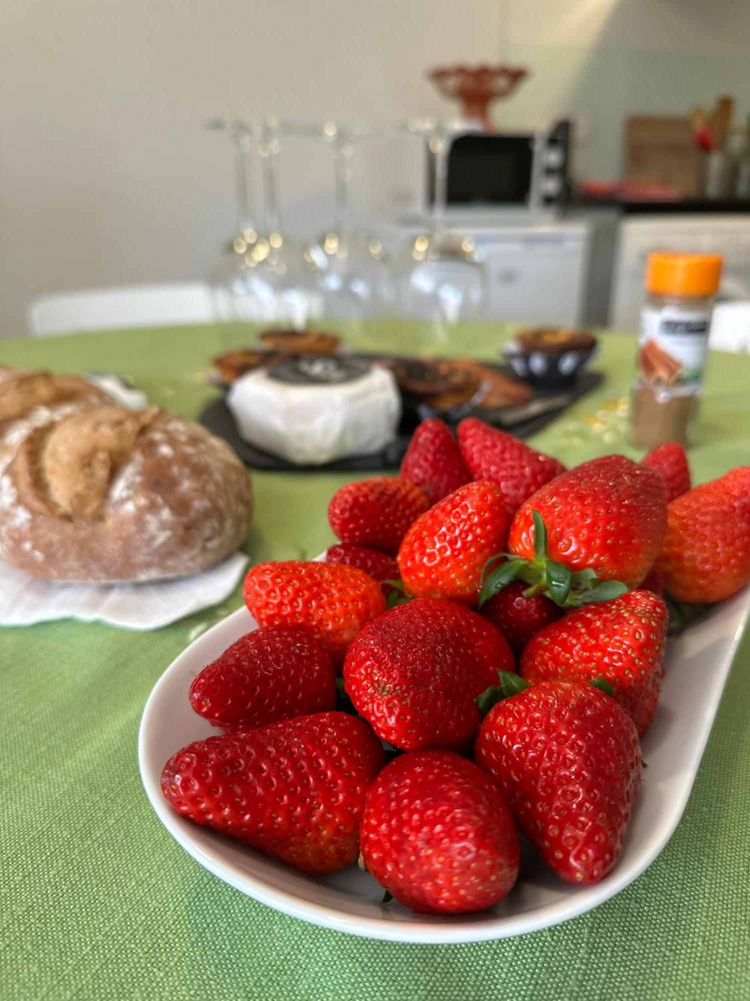 Quinta Do Senhor Βίλα Μπράγκα Εξωτερικό φωτογραφία