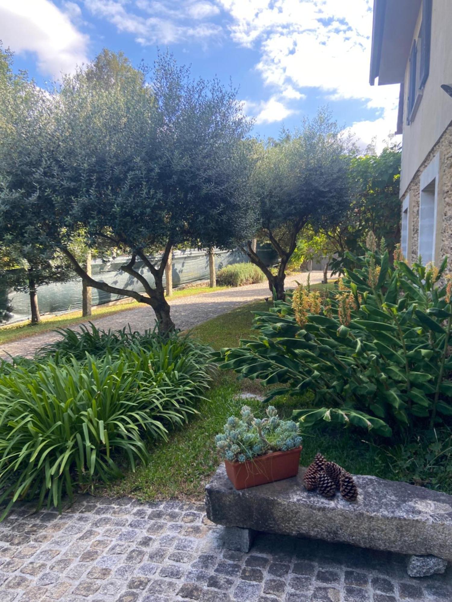 Quinta Do Senhor Βίλα Μπράγκα Εξωτερικό φωτογραφία