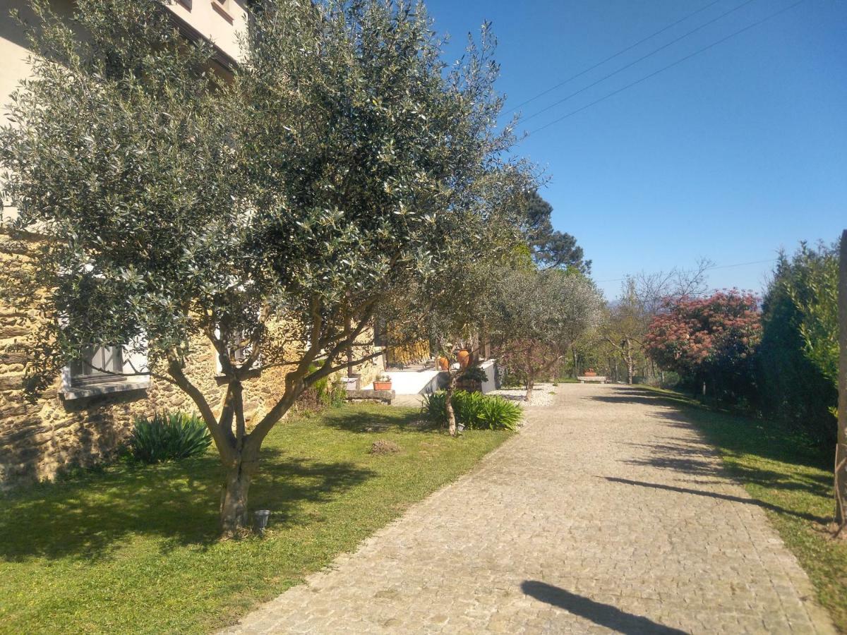 Quinta Do Senhor Βίλα Μπράγκα Εξωτερικό φωτογραφία